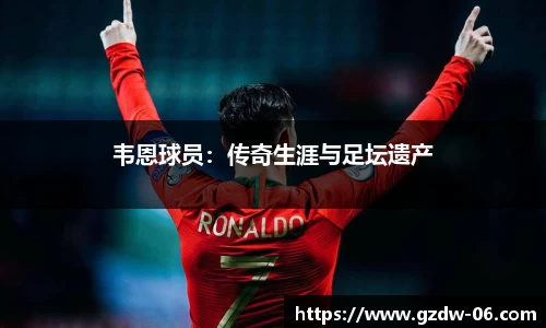 韦恩球员：传奇生涯与足坛遗产